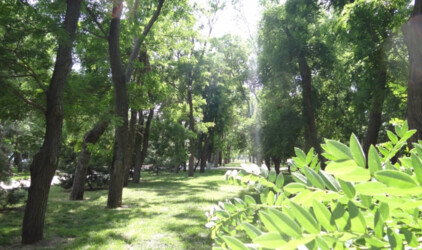В Сургуте на месте кинотеатра "Аврора" построят парк