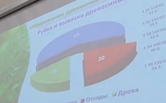 В Югре появится кластер по глубокой переработке древесины