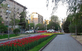 В Сургуте построят сквер влюбленных