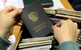 Голодец: Россия плавно перейдет на электронные трудовые книжки