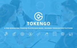 Особенности блокчейн проектов на примере TokenGO