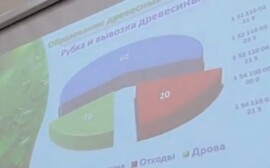 В Югре появится кластер по глубокой переработке древесины