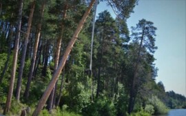 Дополненная реальность: Природно-археологический парк «Барсова гора» станет интерактивным    