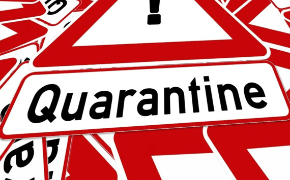 В Югре рестораны и кафе смогут работать ночью