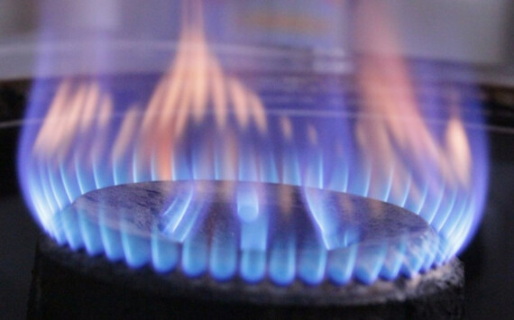 Юлия Меньшова предложила газифицировать дома в Сургуте