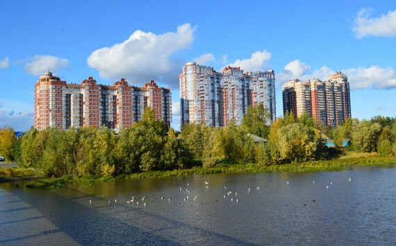 Власти Сургута заплатят 60,8 млн рублей за поиск решений по развитию города