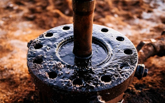 Комарова: Снижение стоимости нефти не отразится на бюджете Югры