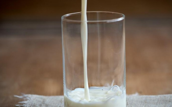В Югре цены на молочную продукцию завысили почти на 90%